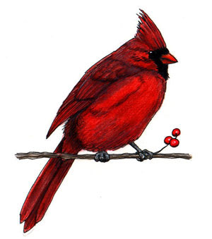 Cardinals